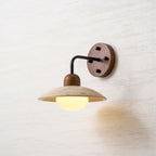 Dome Arm Wall Lamp