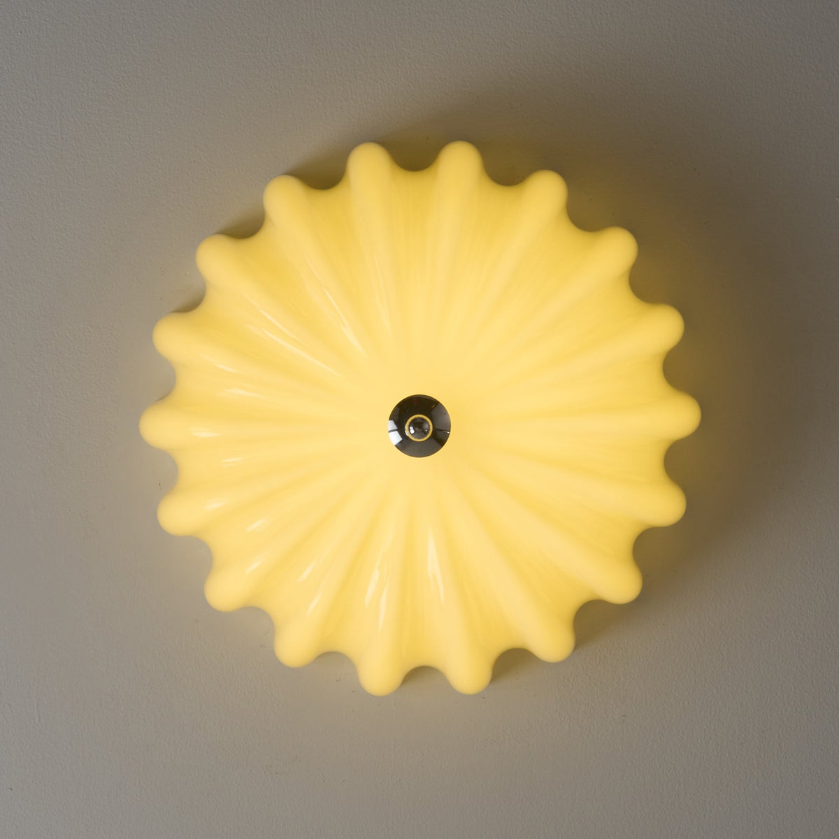 Dewdrop Shell Ceiling Light