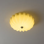 Dewdrop Shell Ceiling Light