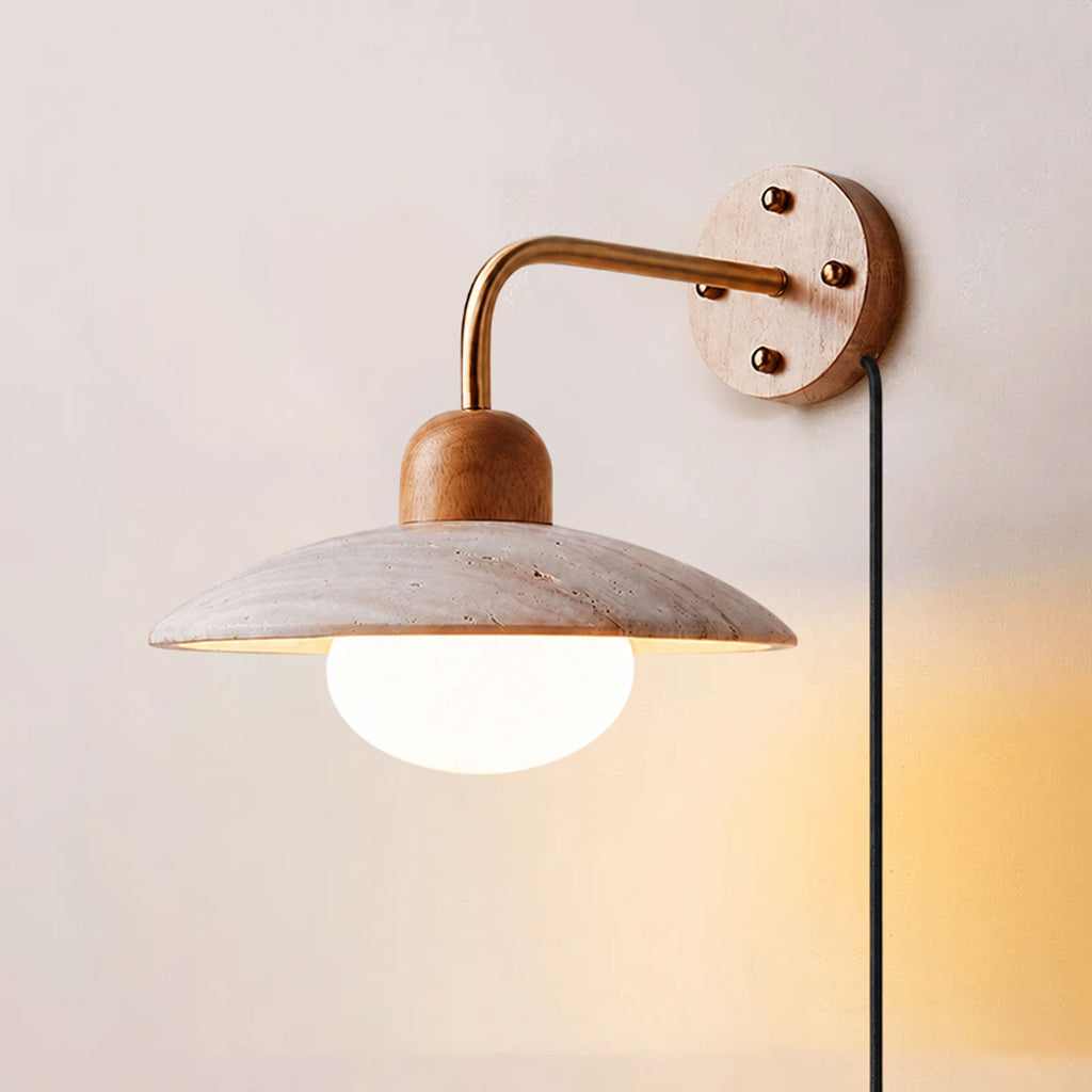 Dome Arm Plug-in Wall Lamp