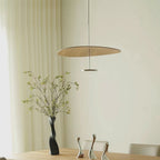 Eryndor Disc Pendant Lamp