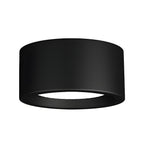 Ethan Surface Ceiling Light