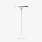 Fontana Floor Lamp Floor lamp