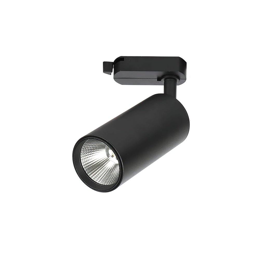 Gilded Rail Track Light Ceiling lamp