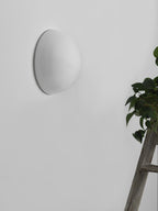 Halbkugel Wall Lamp Wall lamp