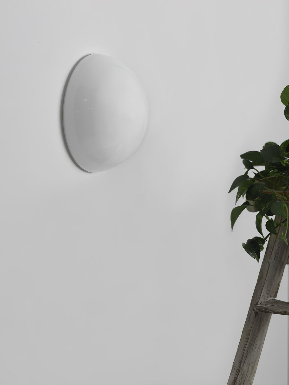 Halbkugel Wall Lamp Wall lamp