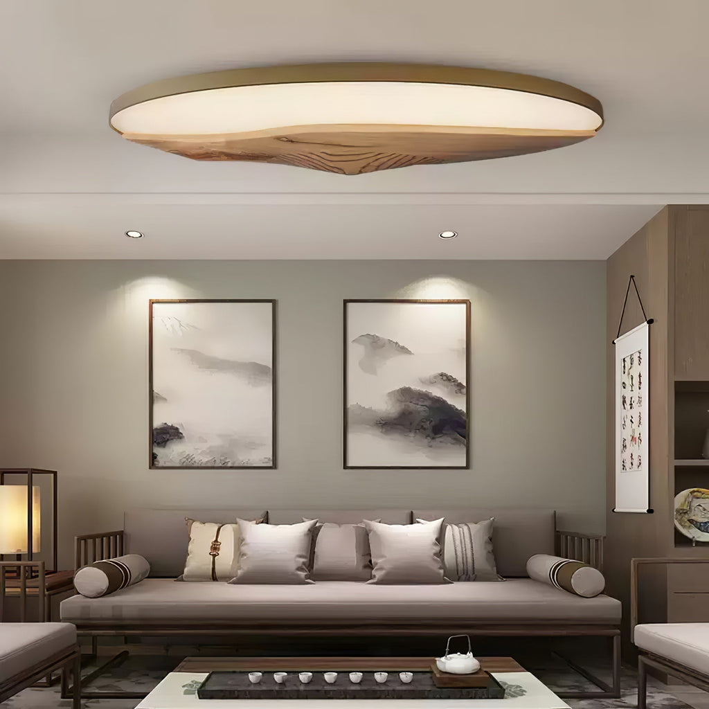 Half-Mountain Ceiling Lamp Ceiling lamp