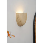 Arc Bowl Wall Lamp
