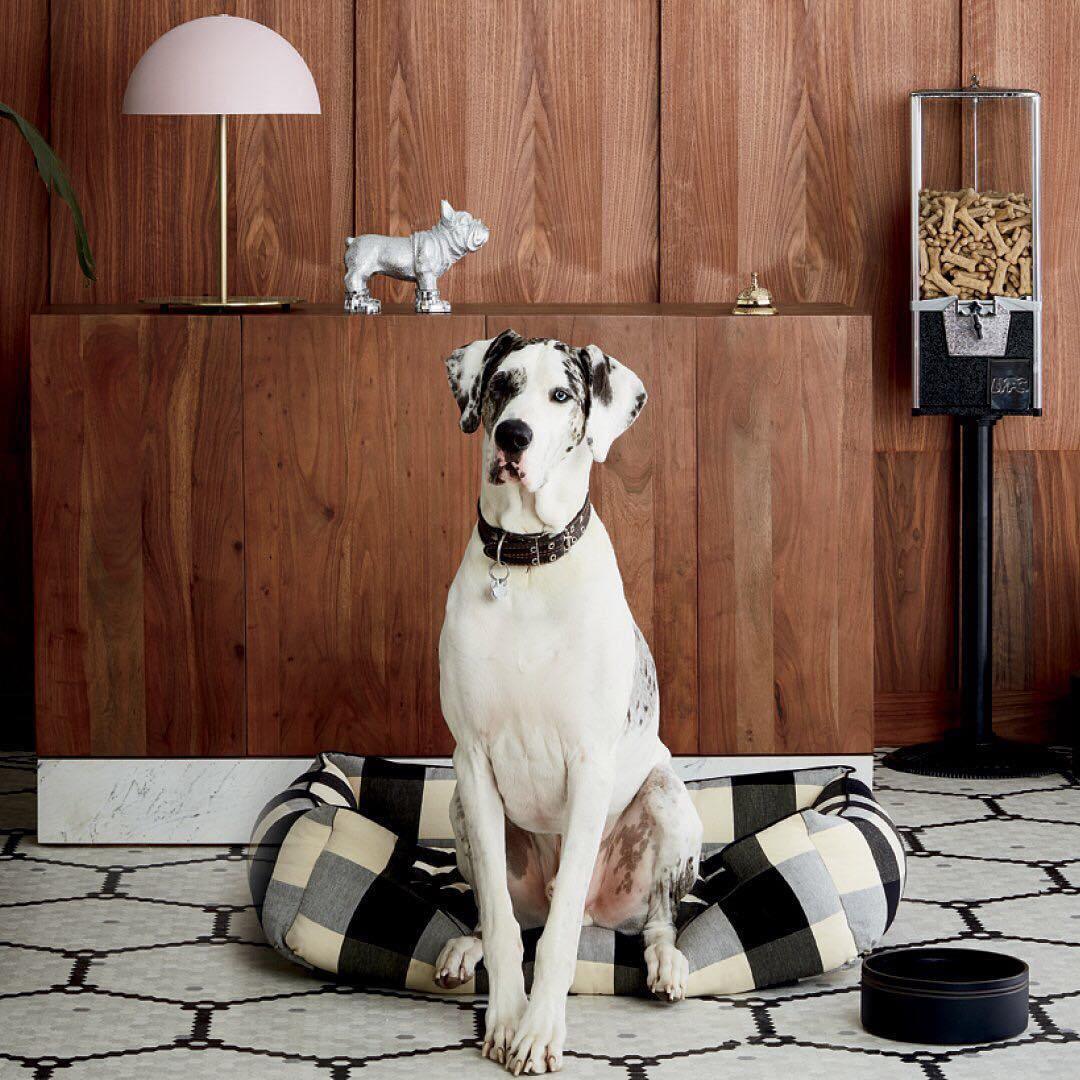 Hanna Table Lamp Table lamp