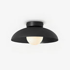 Harper Glass Dome Ceiling Lamp Ceiling lamp