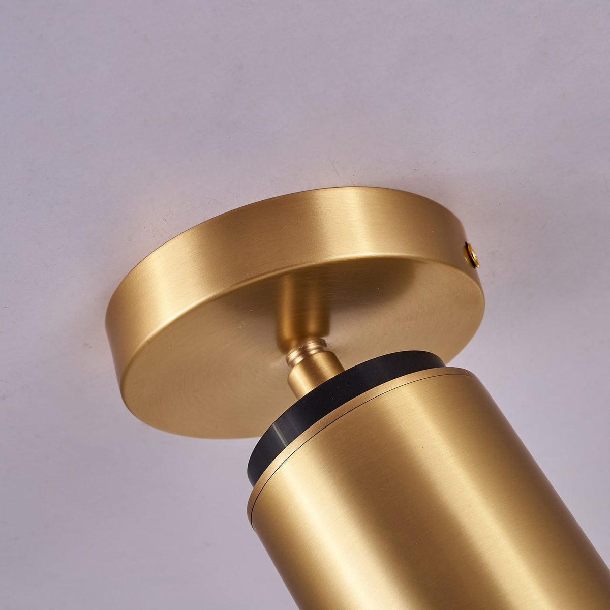 Horizon Brass Spot Light
