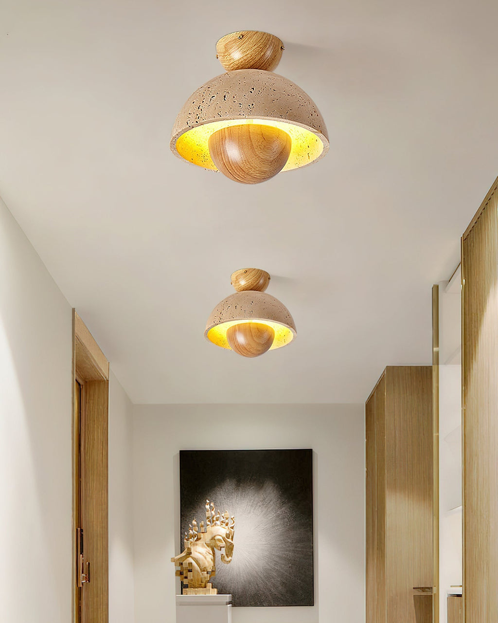 Inverted Ceiling Lamp Ceiling lamp