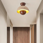 Inverted Ceiling Lamp Ceiling lamp