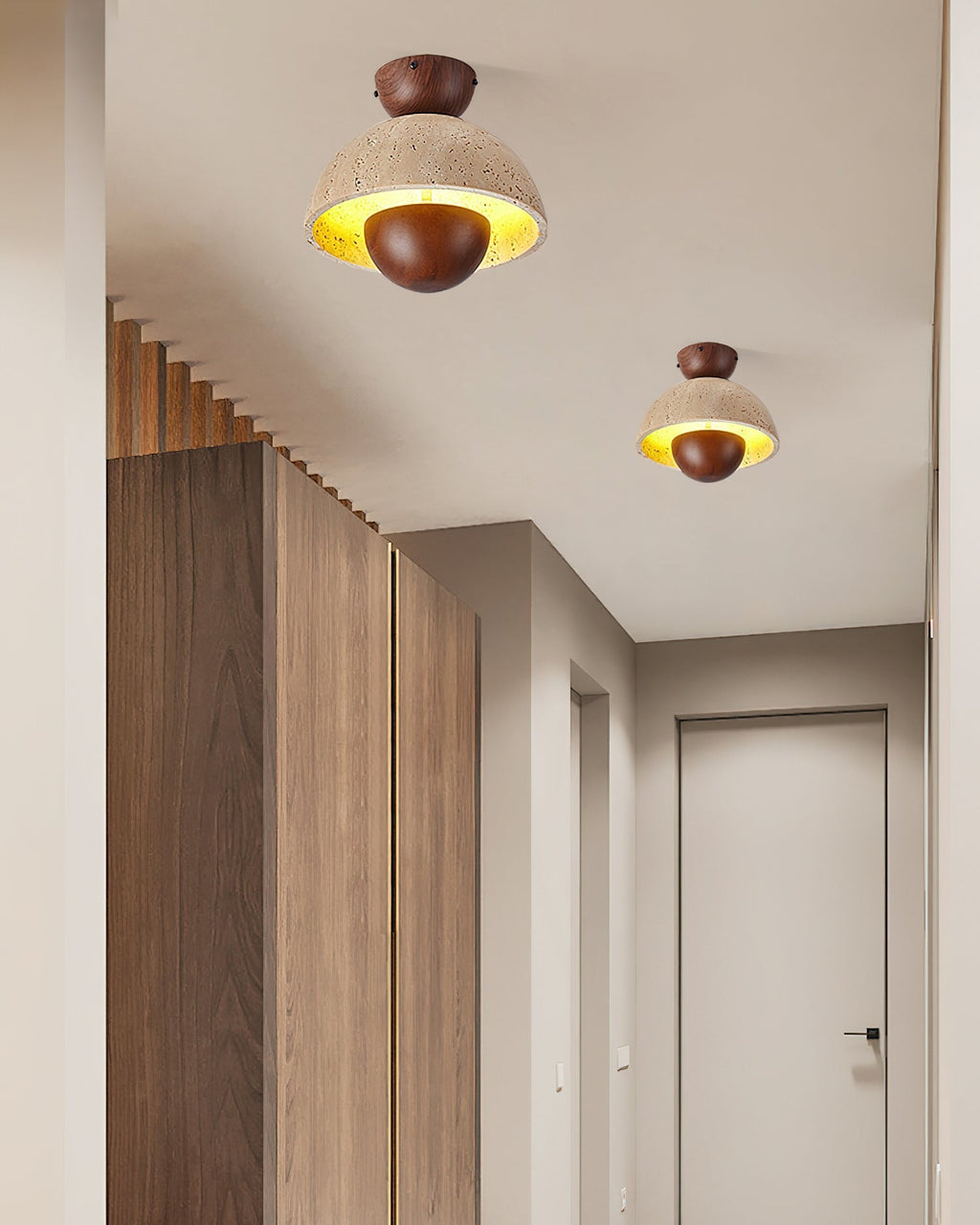 Inverted Ceiling Lamp Ceiling lamp