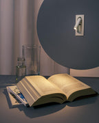 OmniLux Reading Lamp Wall lamp