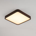 Lira Rectangular Ceiling Light