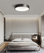 Lumenia Ceiling Light