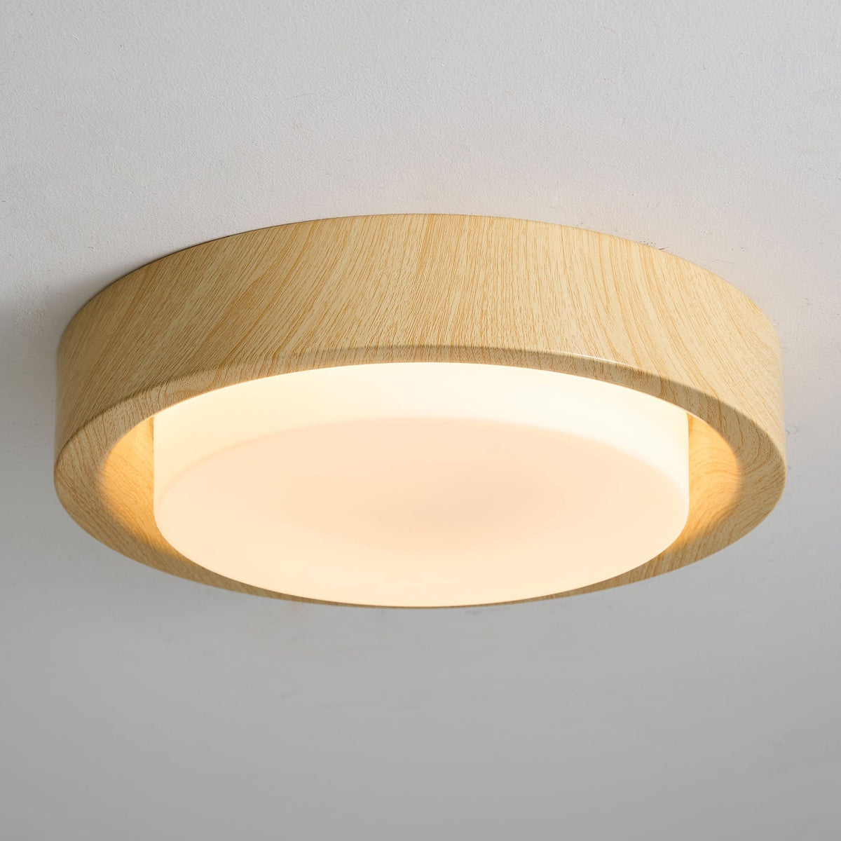 Lunar Ring Ceiling Light