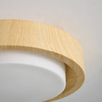 Lunar Ring Ceiling Light