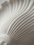 Marisca Shell Wall Sconce