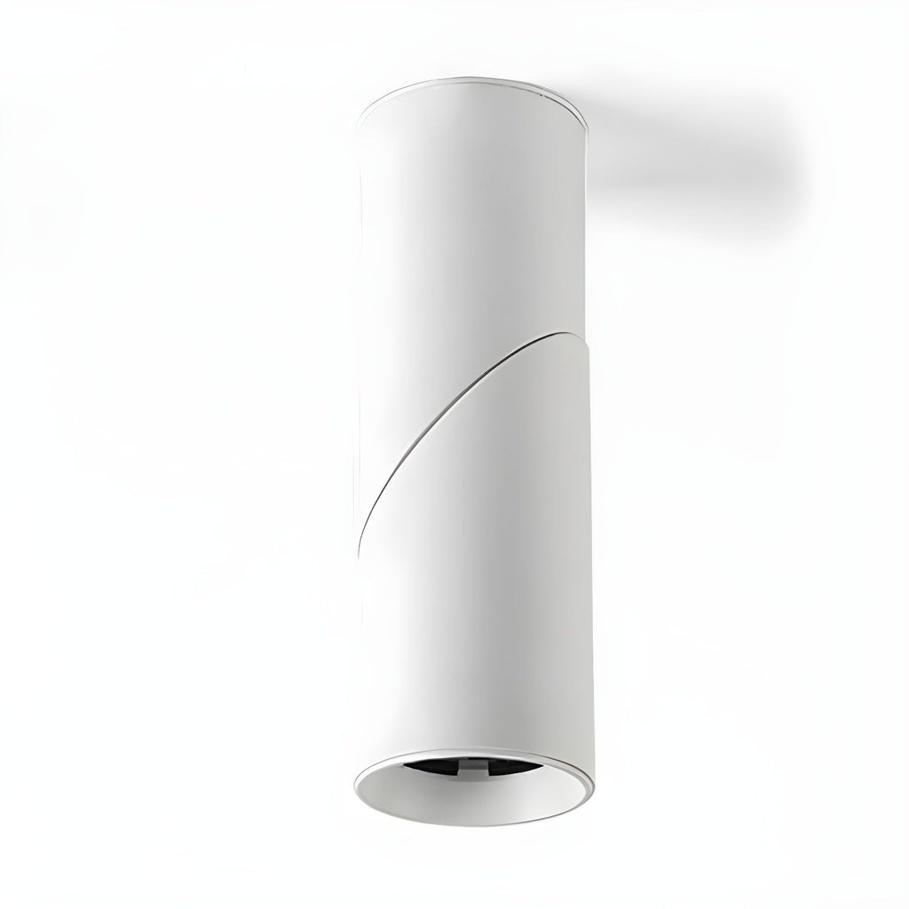 Maxwell Pivot Surface Downlight