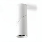 Maxwell Pivot Surface Downlight