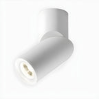 Maxwell Pivot Surface Downlight