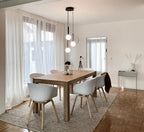 Scandiluxe Pendant Lamp Pendant light
