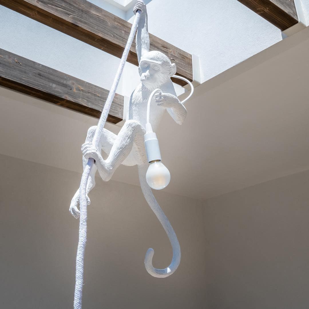 Monkey Pendant Lamp
