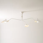 Multi-Arm Spider Ceiling Light A