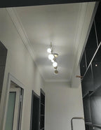 Track Light Ceiling Light 灯具