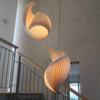 Nautilus Shell Pendant Light