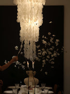Nerida Shell Chandelier