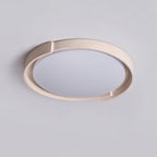 Orbital Edge Ceiling Light