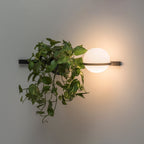 Solstice Orb Wall Light