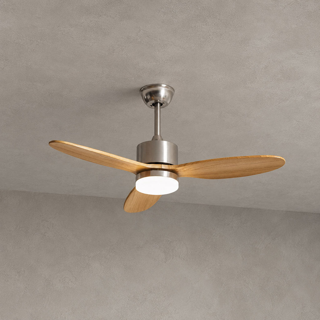 Polaris Ceiling Fan Light