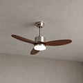 Polaris Ceiling Fan Light