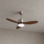 Polaris Ceiling Fan Light