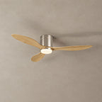 Rovelle Ceiling Fan Light