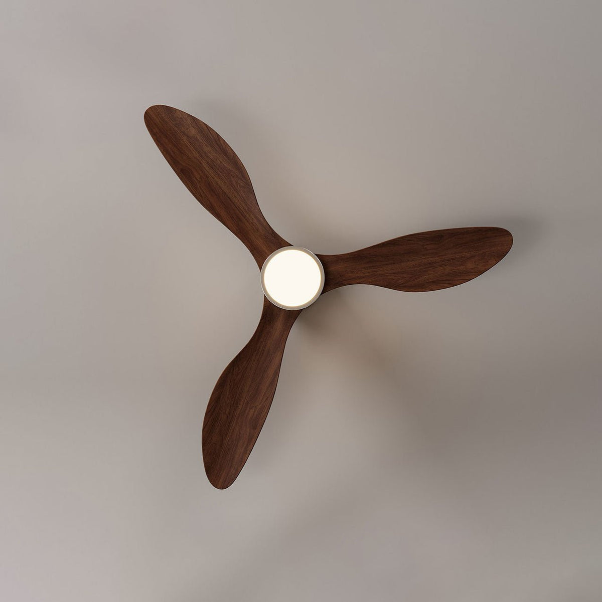 Rovelle Ceiling Fan Light