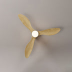 Rovelle Ceiling Fan Light