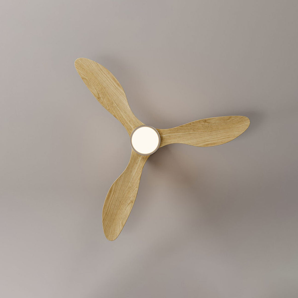 Rovelle Ceiling Fan Light