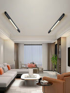 SLD50 Naked Magnetic Lamp Ceiling lamp