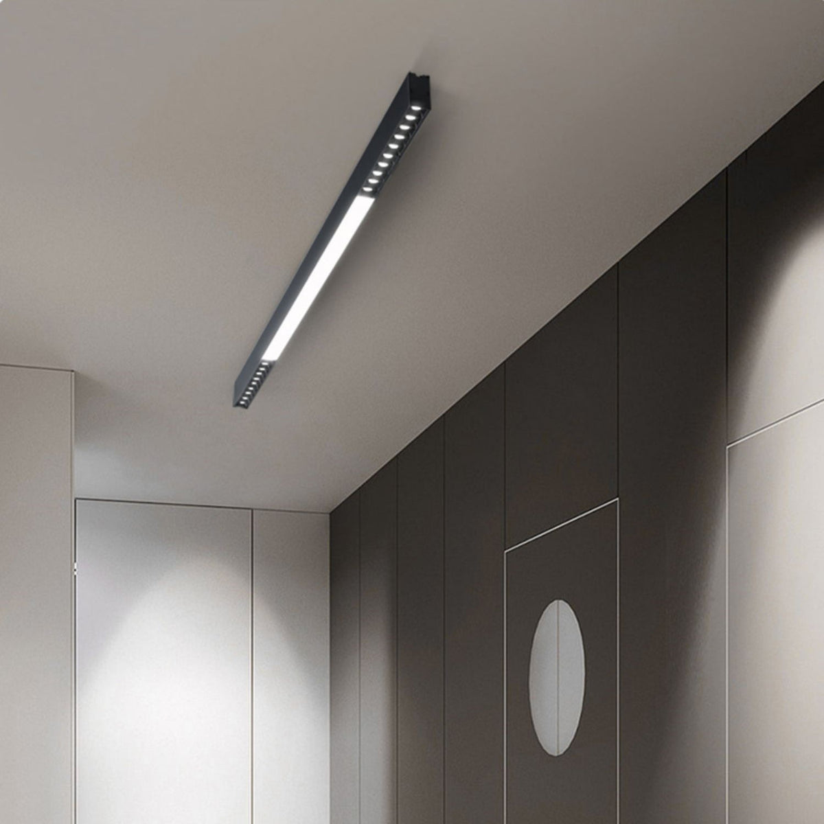 SLD50 Naked Magnetic Lamp Ceiling lamp