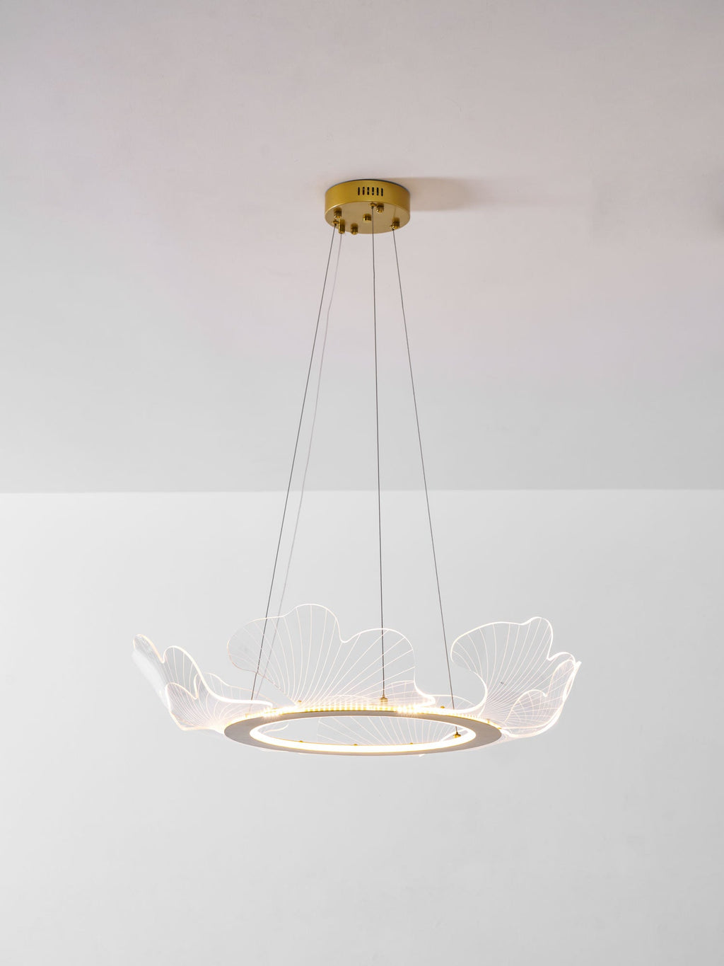 Sea Chandelier