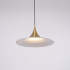 Semi Swag Pendant Light
