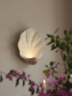 Shell Wall Sconce