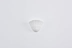 Pleated Shell Wall Light