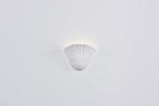 Pleated Shell Wall Light