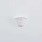 Pleated Shell Wall Light